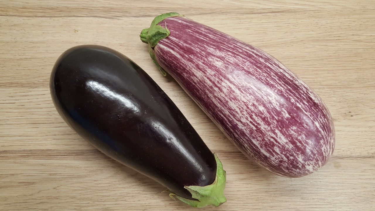 Aubergine